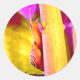 Snail Classic Round Sticker