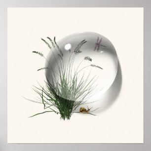 Snail Dragonfly Waterdrop Abstract  Poster
