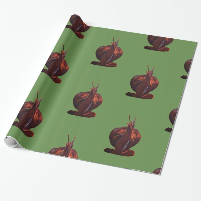 Snail Drawing Glossy Wrapping Paper (Unrolled)