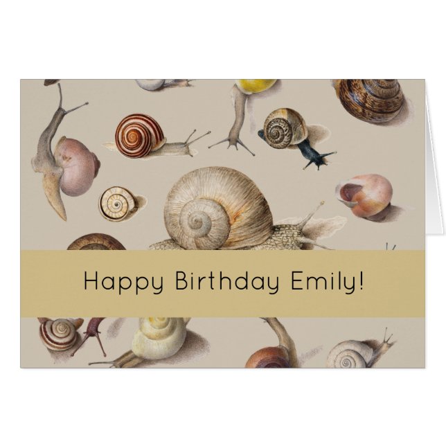 Snail Garden Pet Gastropod Slug Botanical Snails (Front Horizontal)