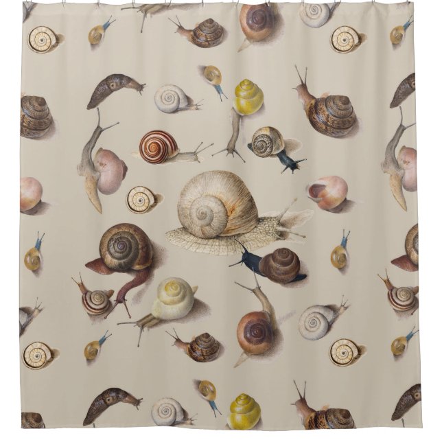 Snail Garden Pet Gastropod Slug Botanical Snails (Front)