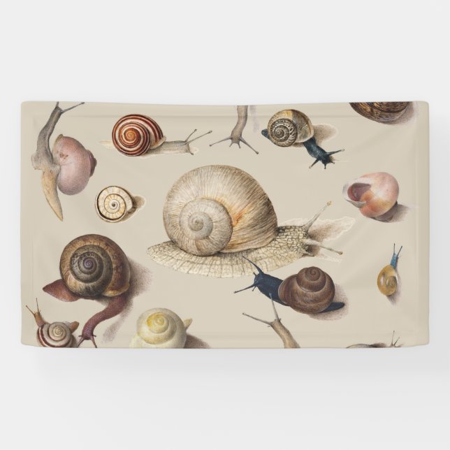 Snail Garden Pet Gastropod Slug Botanical Snails Banner (Horizontal)