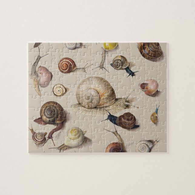 Snail Garden Pet Gastropod Slug Botanical Snails Jigsaw Puzzle (Horizontal)