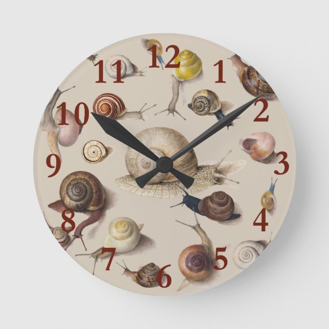 Snail Garden Pet Gastropod Slug Botanical Snails Round Clock (Front)