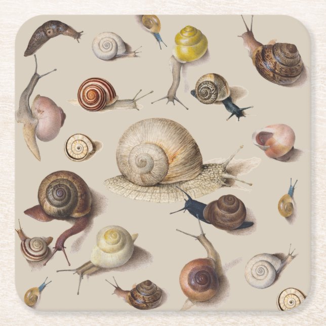 Snail Garden Pet Gastropod Slug Botanical Snails Square Paper Coaster (Front)