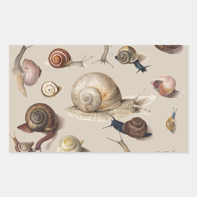 Snail Garden Pet Gastropod Slug Botanical Snails Sticker (Front)