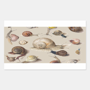 Snail Garden Pet Gastropod Slug Botanical Snails Sticker