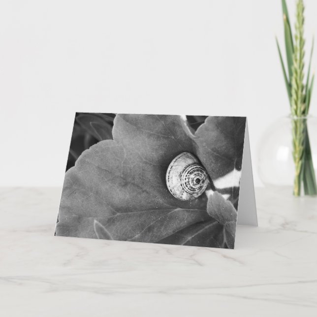 Snail Holiday Card (Front)