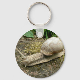 Snail Keychain