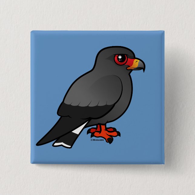 Snail Kite 2 Inch Square Button (Front)