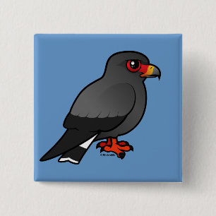Snail Kite 2 Inch Square Button