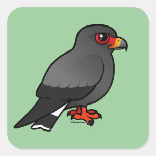Snail Kite Square Sticker