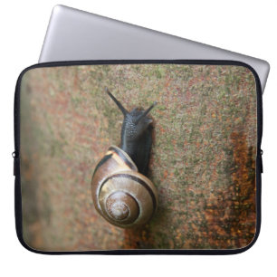Snail laptop sleeve