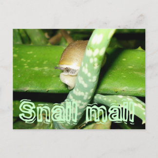 Snail mail postcard