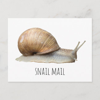 snail mail postcard