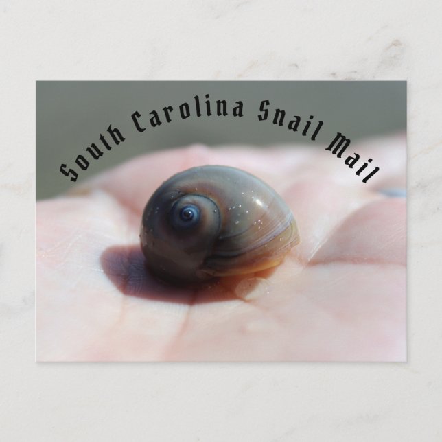 Snail Mail Postcard (Front)