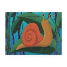 Snail Mail Postcards