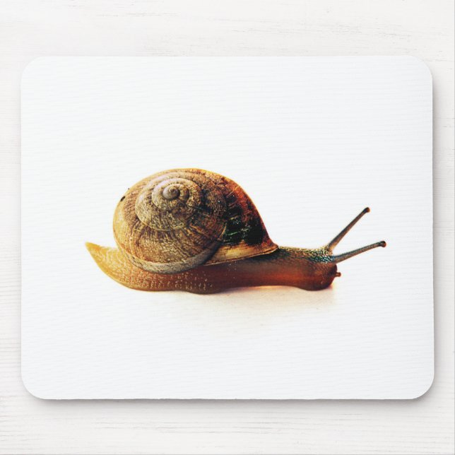 Snail Mouse Pad (Front)