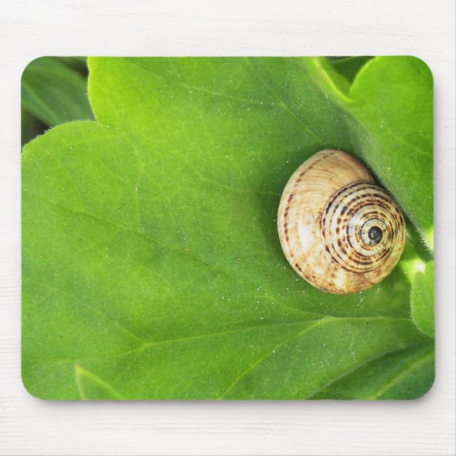Snail Mouse Pad (Front)