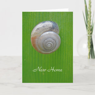 Snail new home card