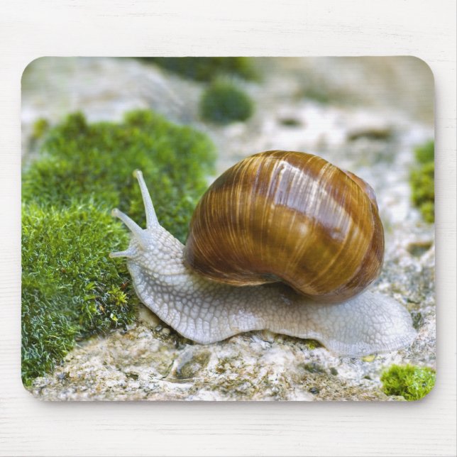 Snail of Burgundy Mouse Pad (Front)