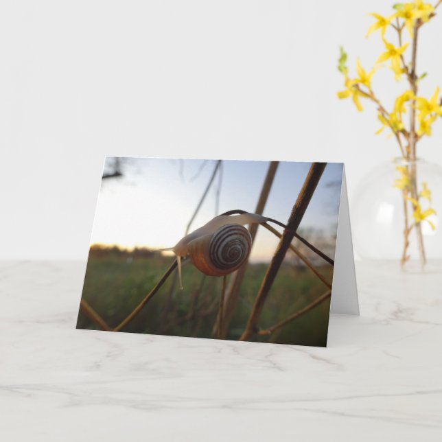 Snail on a Stem Card (Yellow Flower)