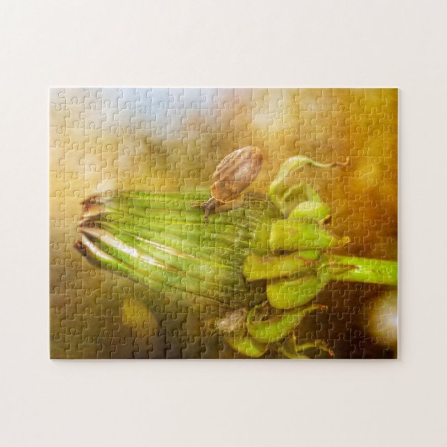 Snail on the move   ... jigsaw puzzle (Horizontal)