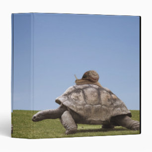 Snail over a turtle binder