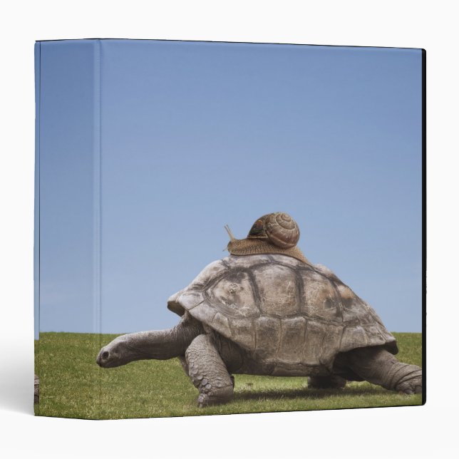 Snail over a turtle binder (Front/Spine)