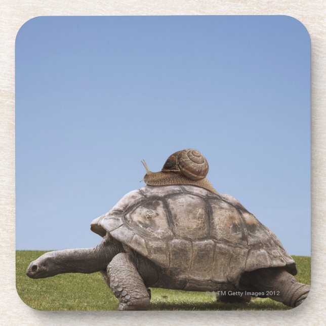 Snail over a turtle coaster (Front)