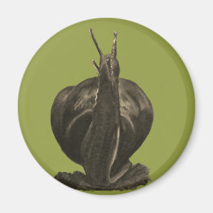 Snail Pastels  Drawing Round Magnet