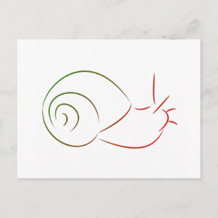 Snail postcard