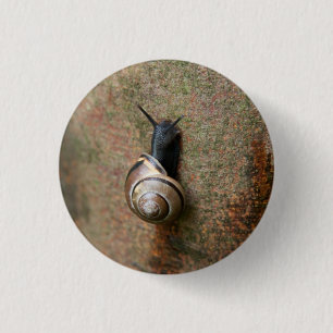Snail round button
