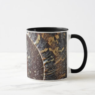 Snail Shell Mug