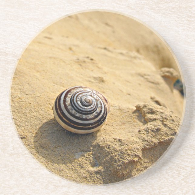 Snail Shell on Sand Coaster (Front)