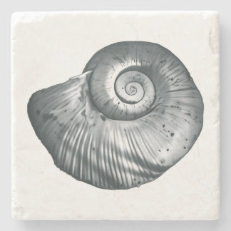 Snail Shell Stone Coaster