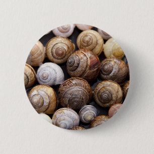 Snail Shells 2 Inch Round Button