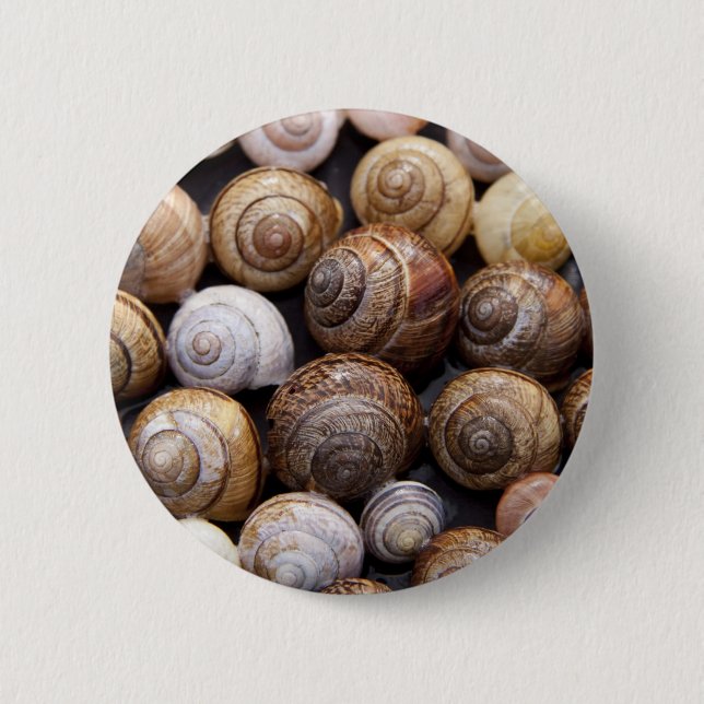 Snail Shells 2 Inch Round Button (Front)