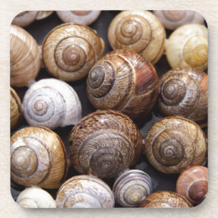 Snail Shells Coaster