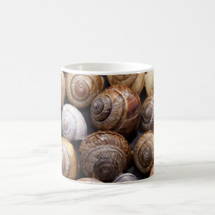 Snail Shells Coffee Mug