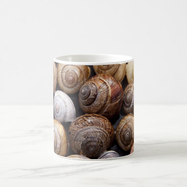 Snail Shells Coffee Mug (Center)