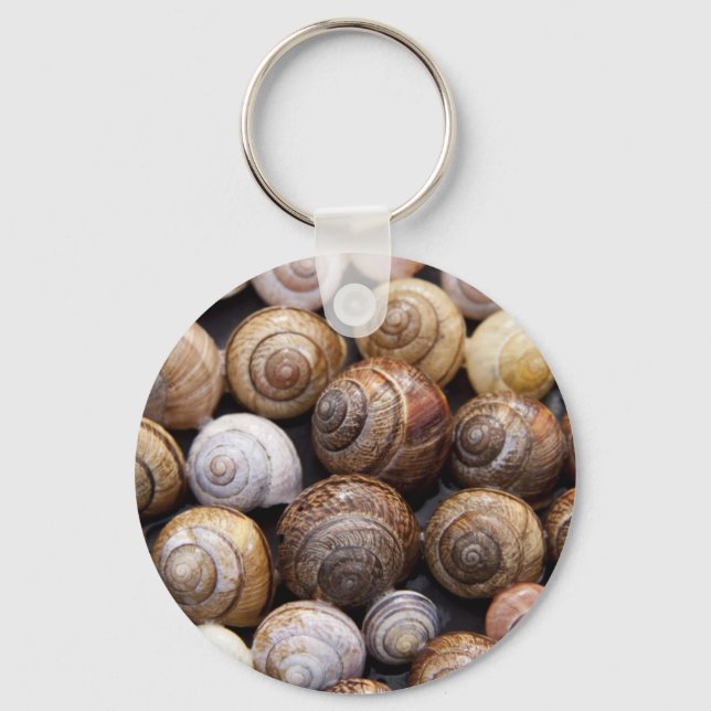 Snail Shells Keychain (Front)