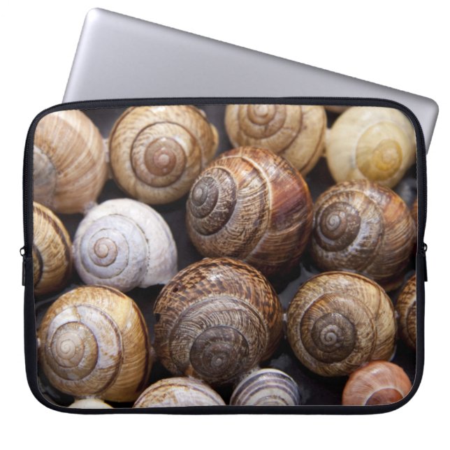 Snail Shells Laptop Sleeve (Front)