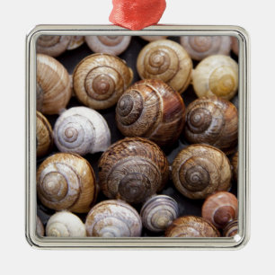 Snail Shells Metal Ornament