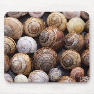 Snail Shells Mouse Pad