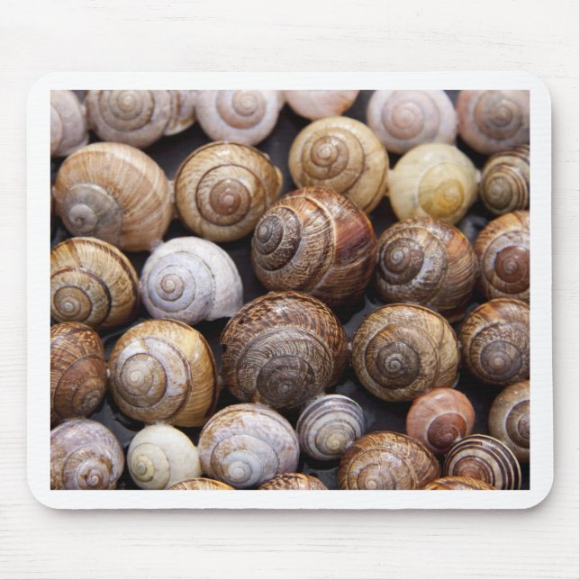 Snail Shells Mouse Pad (Front)