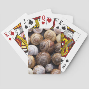Snail Shells Playing Cards