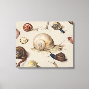 Snail Slug Garden Pet Gastropod Botanical Snails Canvas Print