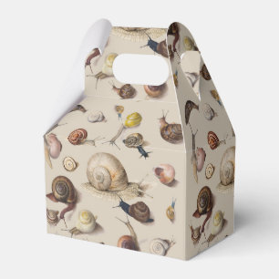 Snail Slug Garden Pet Gastropod Botanical Snails Favor Box