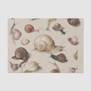 Snail Slug Garden Pet Gastropod Botanical Snails Tissue Paper